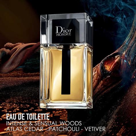 dior reflected homme|Dior Homme 2020.